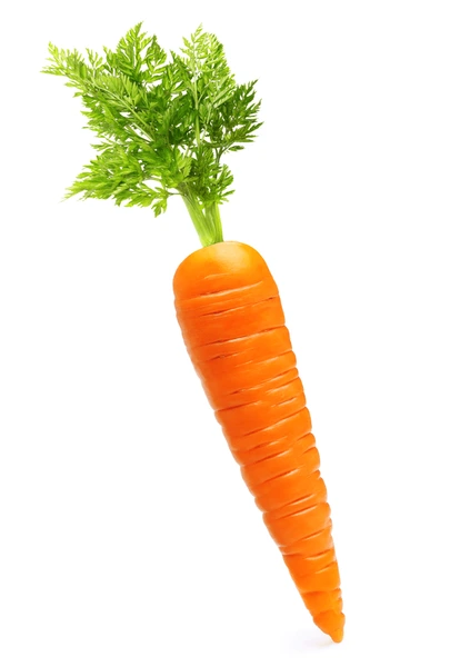 Carrot Seeds
