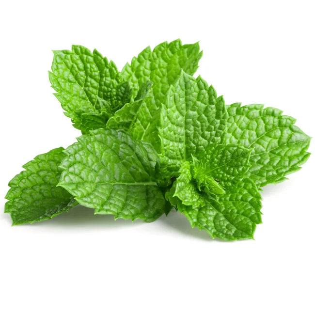 Mint Herb Seeds