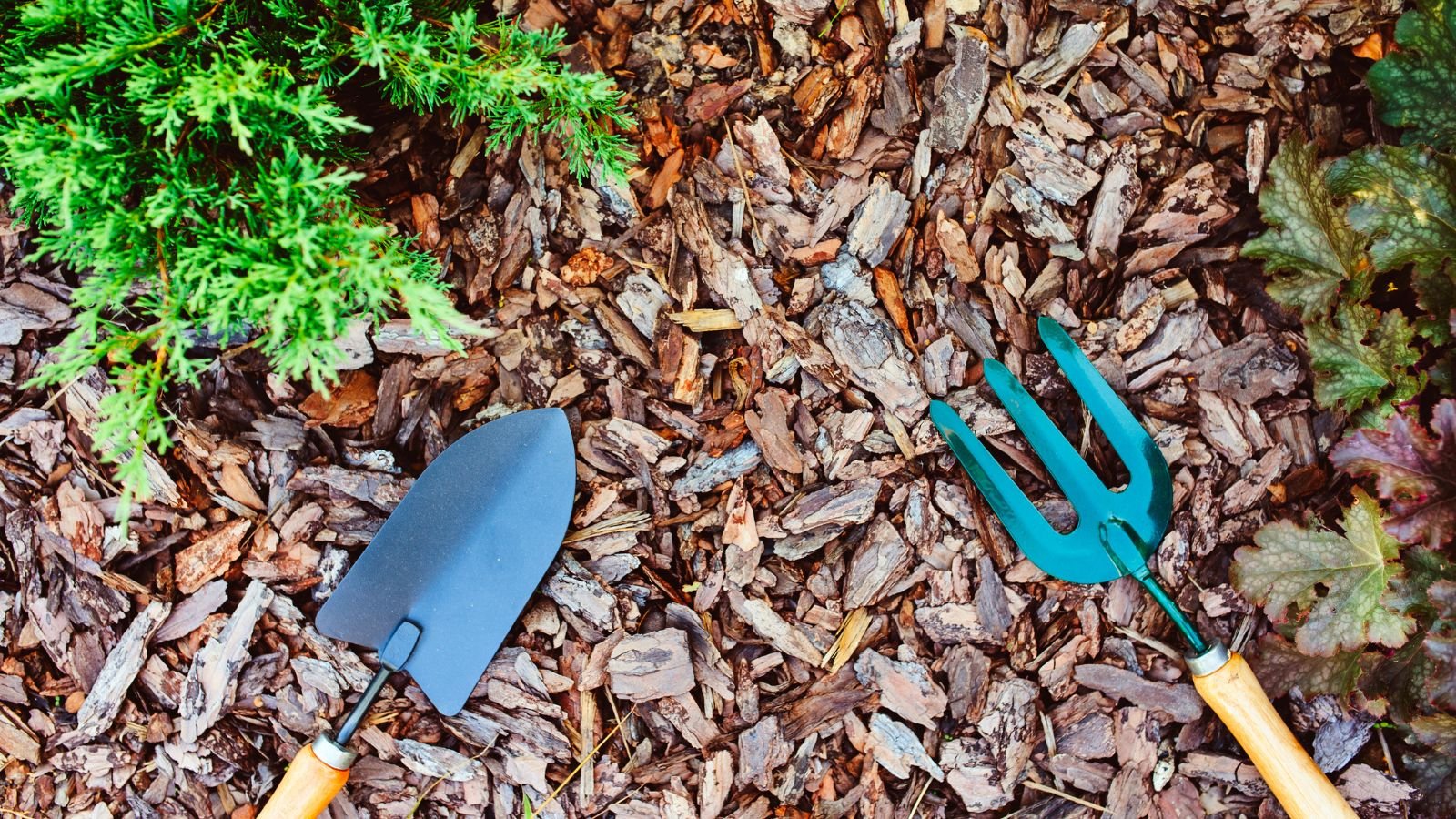 Mulch Bark Chips