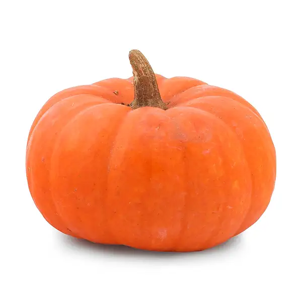 Pumpkin Seeds