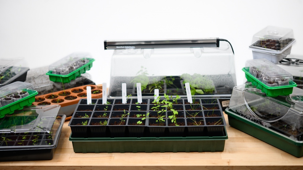 Seedling Starter Kit
