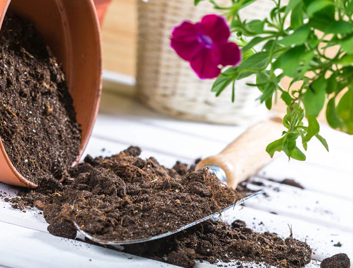 Organic Potting Soil